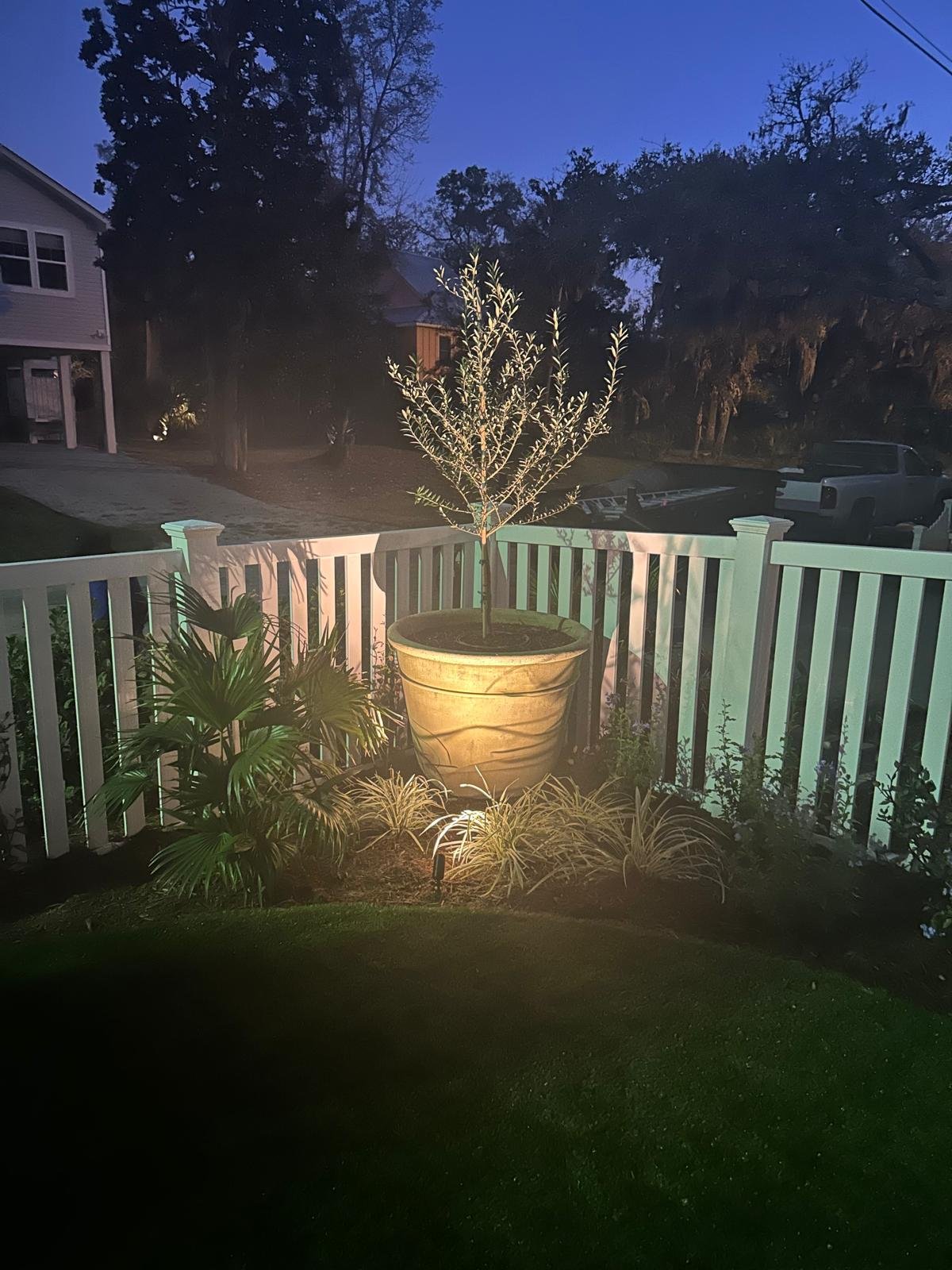 Professional landscaping and garden installation